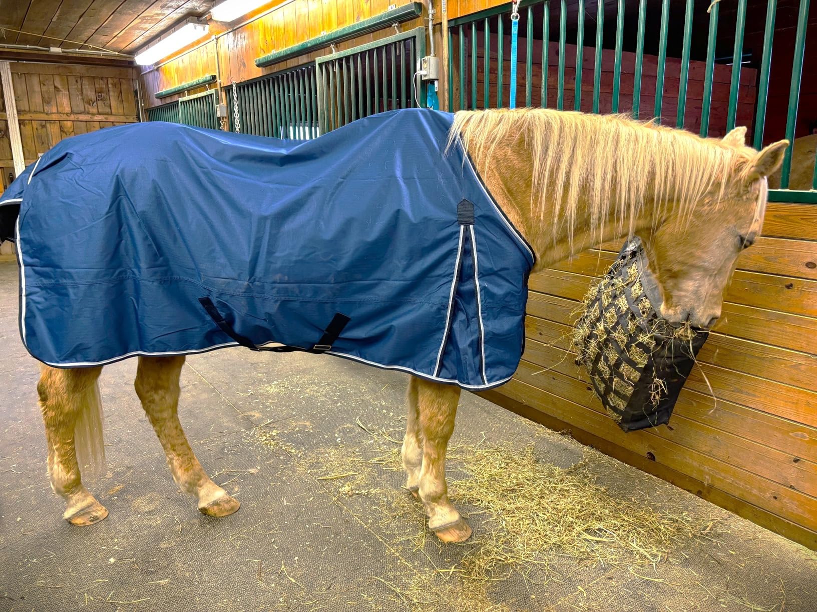 HORZE Glasgow Light Weight Waterproof Turnout Horse Sheet No Fill Dark Blue 81 in customer photo 1