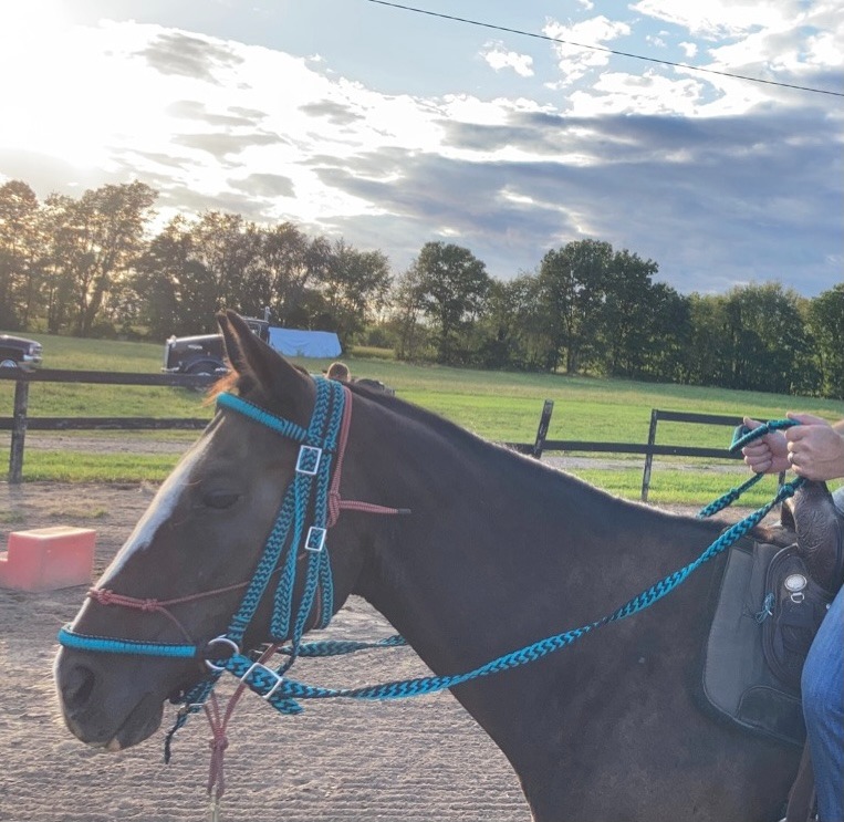 Braided Nylon Bitless Bridle w/Reins customer photo 2