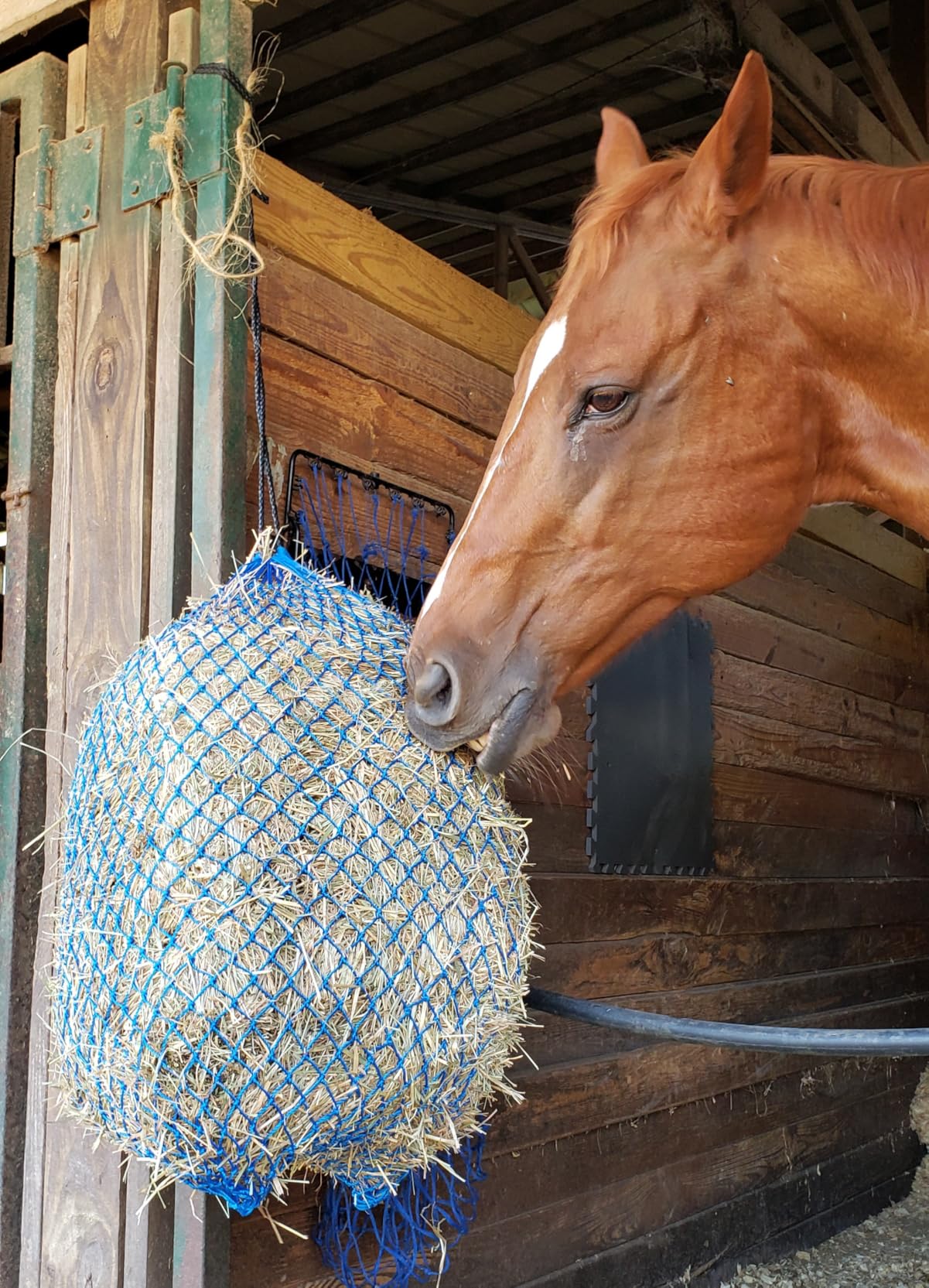 T TEKE Ultra Slow Hay Feeder hay nets, 1