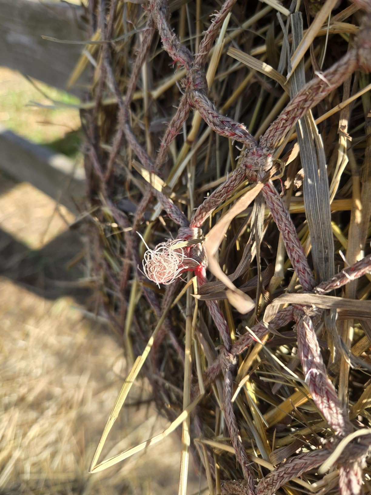 T TEKE Classic Slow hay Feeder hay nets, 40