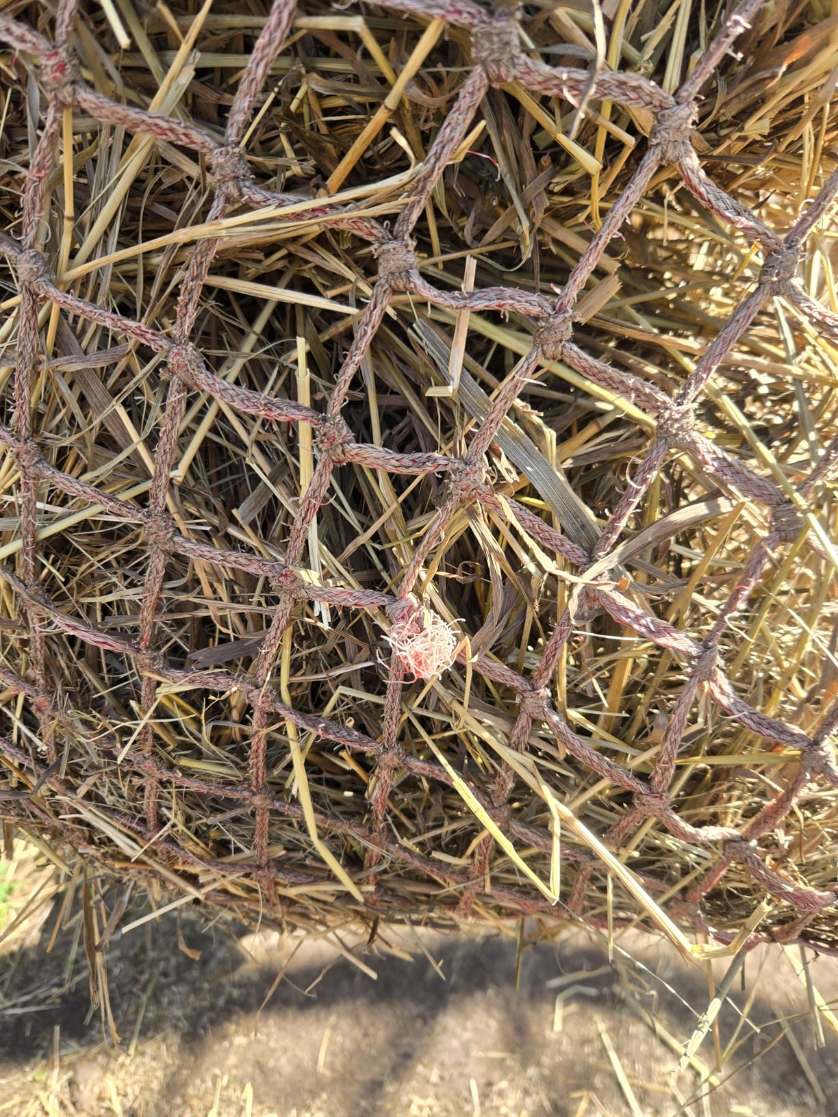 T TEKE Classic Slow hay Feeder hay nets, 40