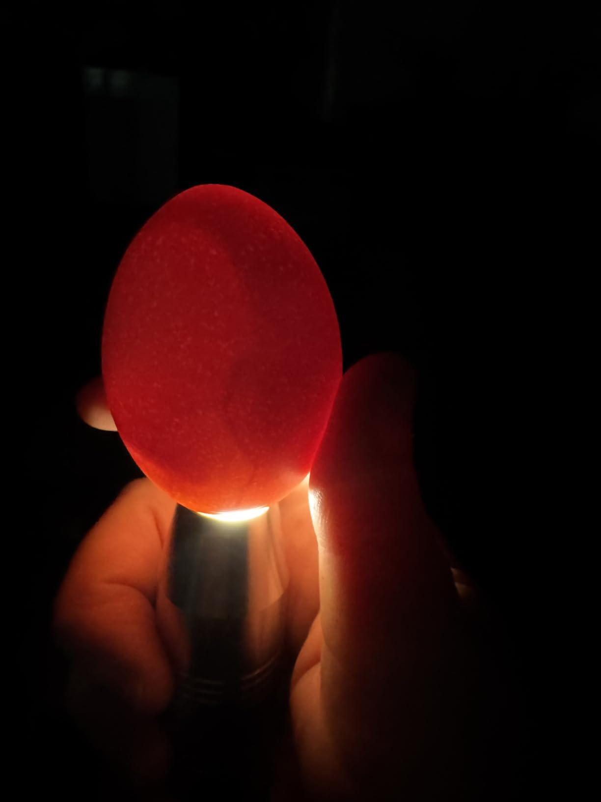 Egg Candler Light Tester Egg Candler Tester Candling Lamp for All Egg Typy customer photo 1