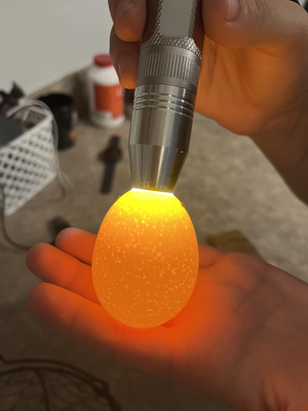 Egg Candler Light Tester Egg Candler Tester Candling Lamp for All Egg Typy customer photo 2