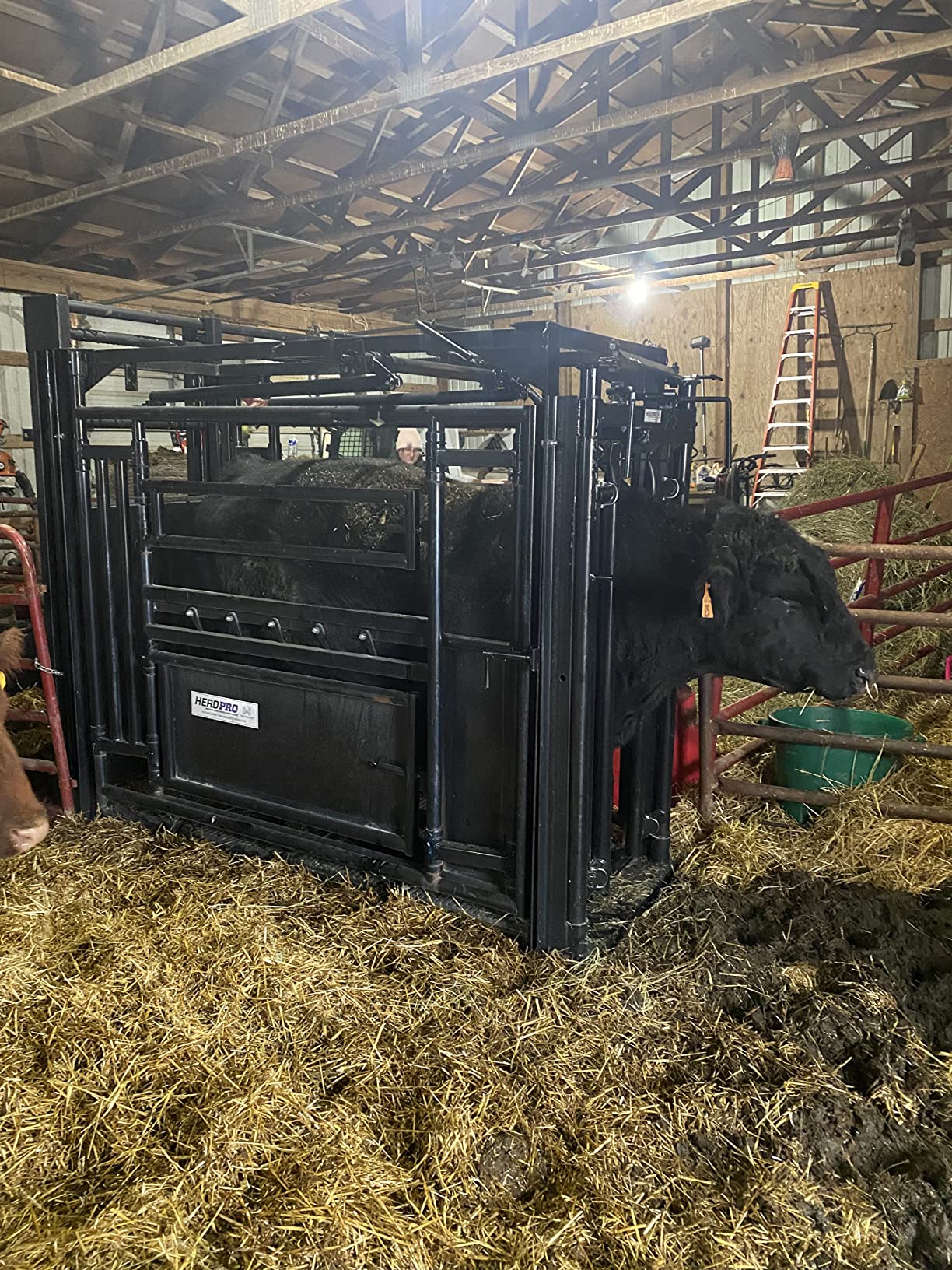 10000lb Load Bar Set for Cattle, Hog, Pig, Goat, Sheep, Alleyway, Chute and Cage Scale | Two Weigh Bar and One Indicator Set (36