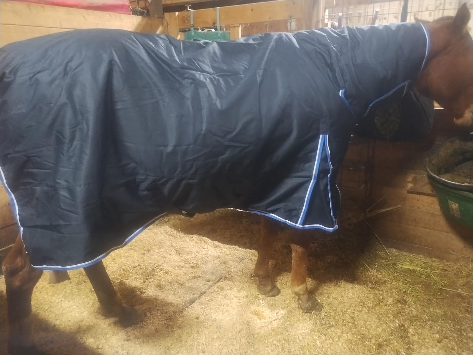 HORZE Glasgow Waterproof Combo Turnout Horse Blankets for Real Horses with Neck Cover, 150g Fill customer photo 1