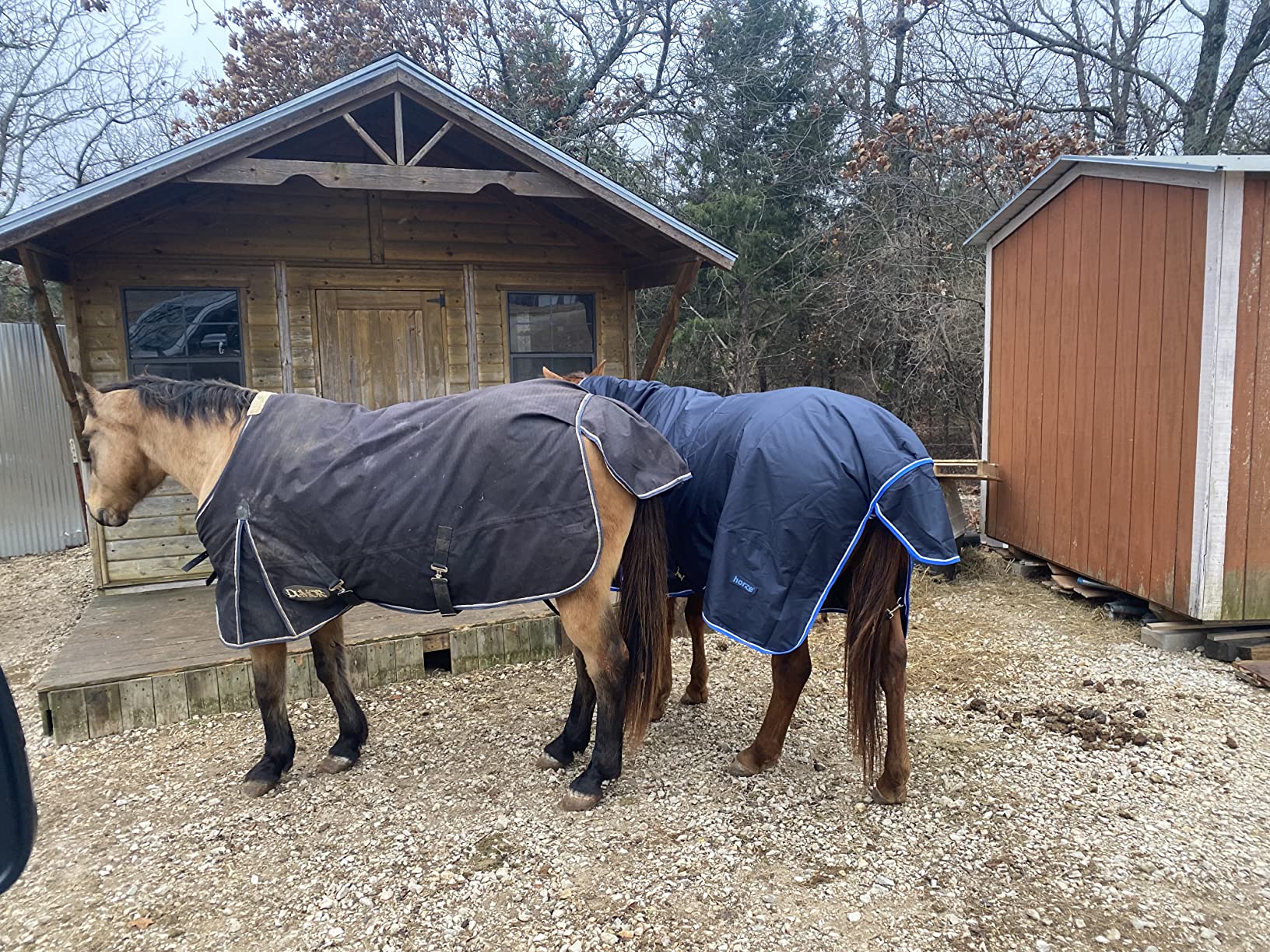 HORZE Glasgow Waterproof Combo Turnout Horse Blankets for Real Horses with Neck Cover, 150g Fill customer photo 2