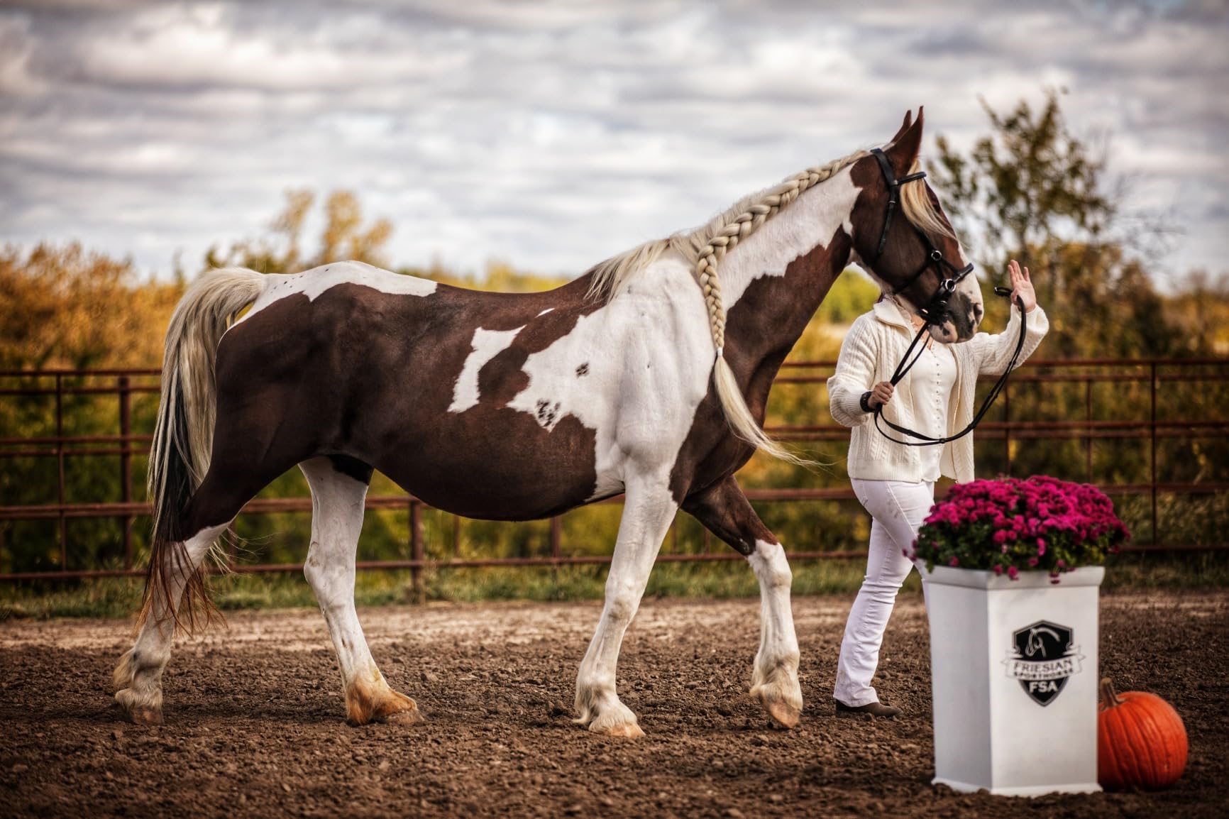 HORZE Denver Soft Leather English Side Pull Bitless Bridle for Horses | Web Reins Included customer photo 1