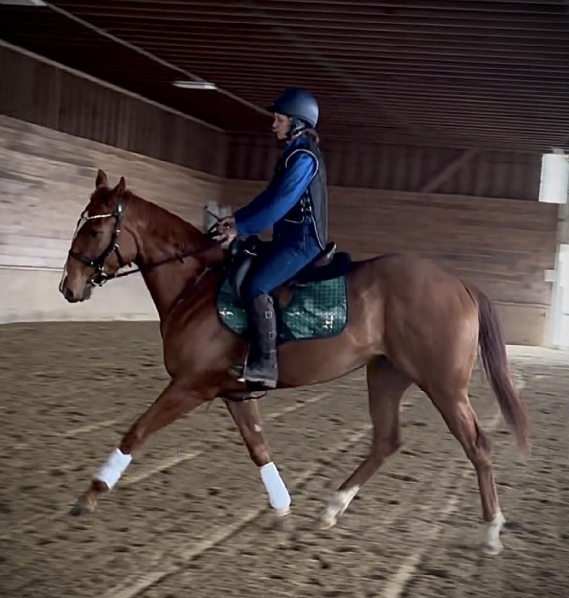 Tipperary Equestrian Horse Riding Eventing Vest - Eventer Pro | English Style Protective Horseback Riding Apparel - Flexible Customizable Fit Body Protector customer photo 1