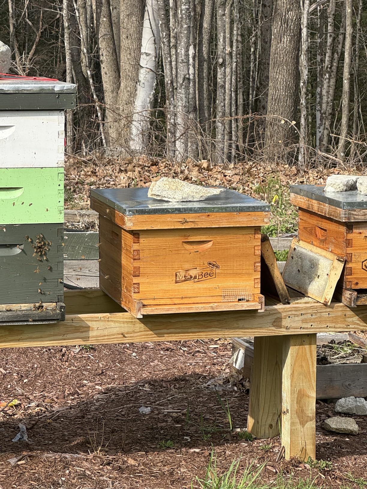 Beehive 10 Frame Bee Hives and Supplies Starter Kit, Bee Hive for Beginner, Honey Bee Hives Includes 1 Deep Brood Hive Box, 1 Bee Hive Super Box with Beehive Frames and Foundations customer photo 1