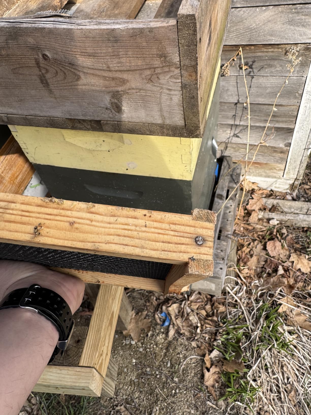Beehive 10 Frame Bee Hives and Supplies Starter Kit, Bee Hive for Beginner, Honey Bee Hives Includes 1 Deep Brood Hive Box, 1 Bee Hive Super Box with Beehive Frames and Foundations customer photo 2