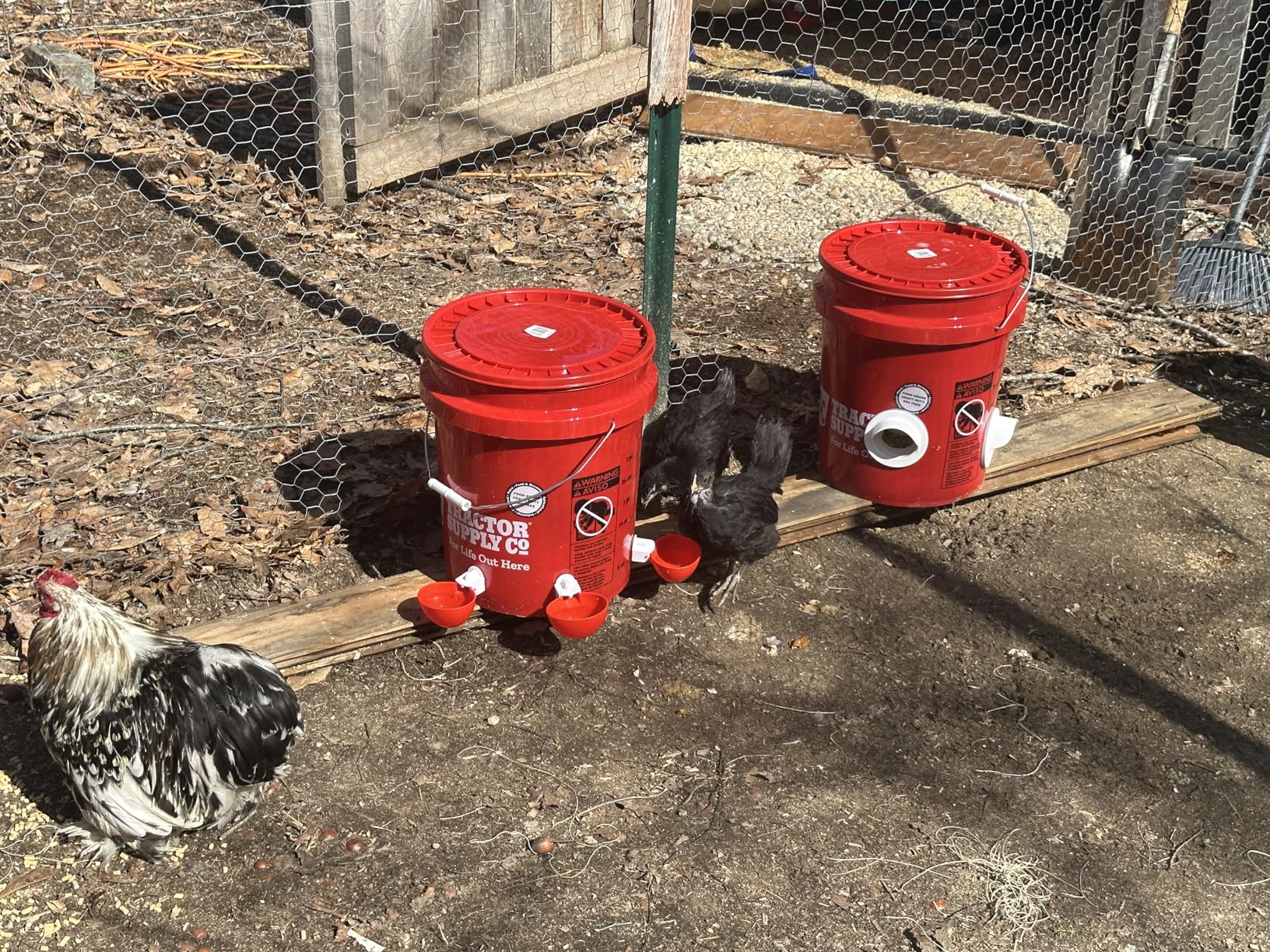 The Original Poultry Pro DIY Chicken Feeder Kit - As seen on Shark Tank, 3 Ports, Waterproof Seal Bushings & Hole Saw, Poultry Feed, Use for Buckets, Barrels, Bins & Troughs (Bucket Not Included) customer photo 1