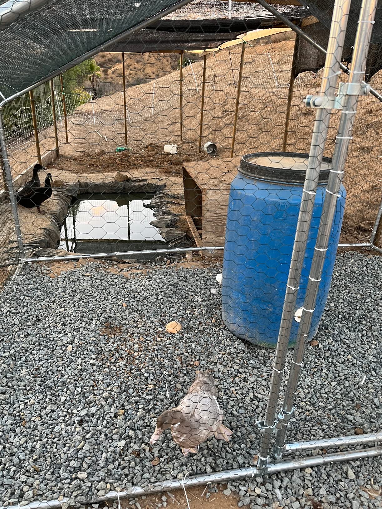 The Original Poultry Pro DIY Chicken Feeder Kit - As seen on Shark Tank, 3 Ports, Waterproof Seal Bushings & Hole Saw, Poultry Feed, Use for Buckets, Barrels, Bins & Troughs (Bucket Not Included) customer photo 2