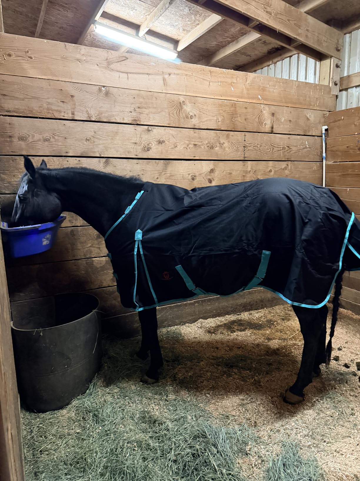 1200 Denier Horse RAIN Sheet (Waterproof/Breathable & Wind Proof Turnout Sheet) Horse Breathable RAINSHEET (Black-Turquoise, 78) customer photo 2