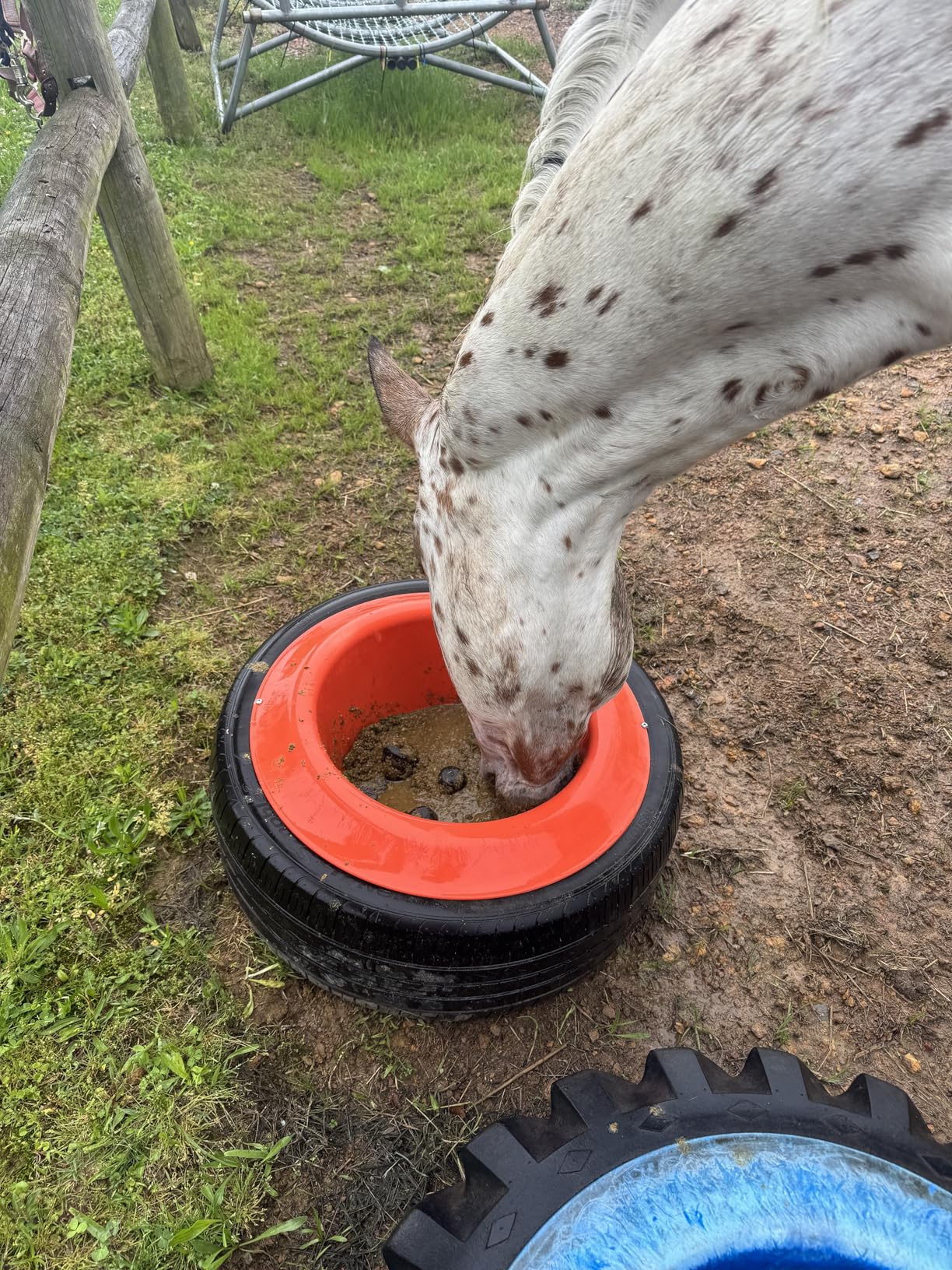 Drop 'N' Slow® Patented Portable Equine Slow Feeder Insert Fits 12 Inch Round Feed Tubs - Reduces Choke, Curbs Bad Eating Habits, Promotes Healthy Digestion customer photo 1