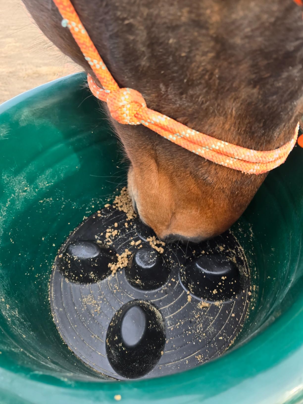 Drop 'N' Slow® Patented Portable Equine Slow Feeder Insert Fits 12 Inch Round Feed Tubs - Reduces Choke, Curbs Bad Eating Habits, Promotes Healthy Digestion customer photo 2