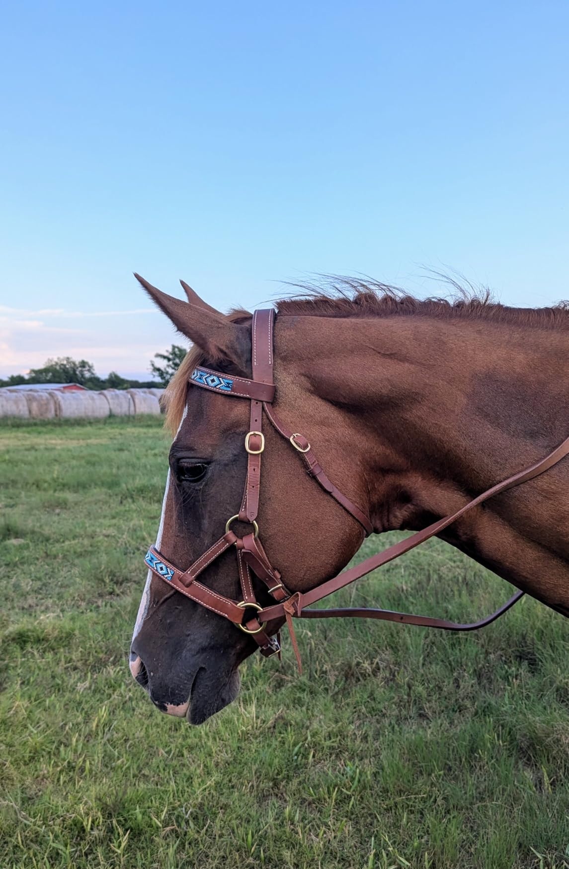 Horse Western English Leather Bitless Sidepull Bridle w/ Split Reins 77RS11 customer photo 1