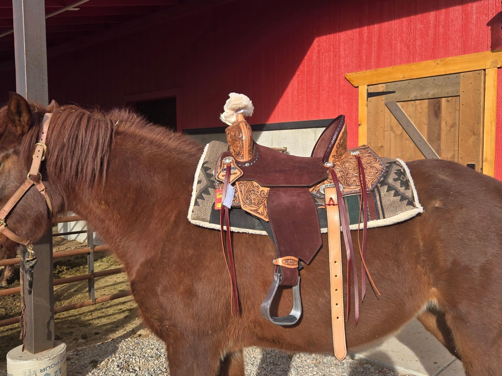 HILASON Flex Tree Western Horse Saddle in American Leather Barrel Trail | for Horses customer photo 2