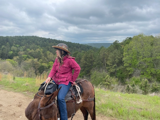 Cashel Horn Saddle Bag Bottle and Lunch Holder customer photo 2