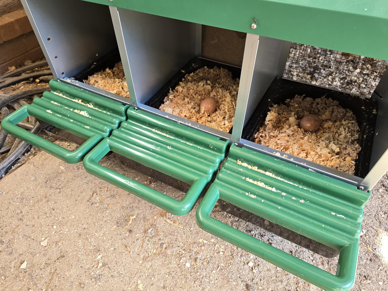 Homestead Essentials Classic Style 3 Compartment, Forward Rollout & Rollaway, Hen & Chicken Nesting Box with Integrated Perch and Protective Egg Laying Collection Lids customer photo 1