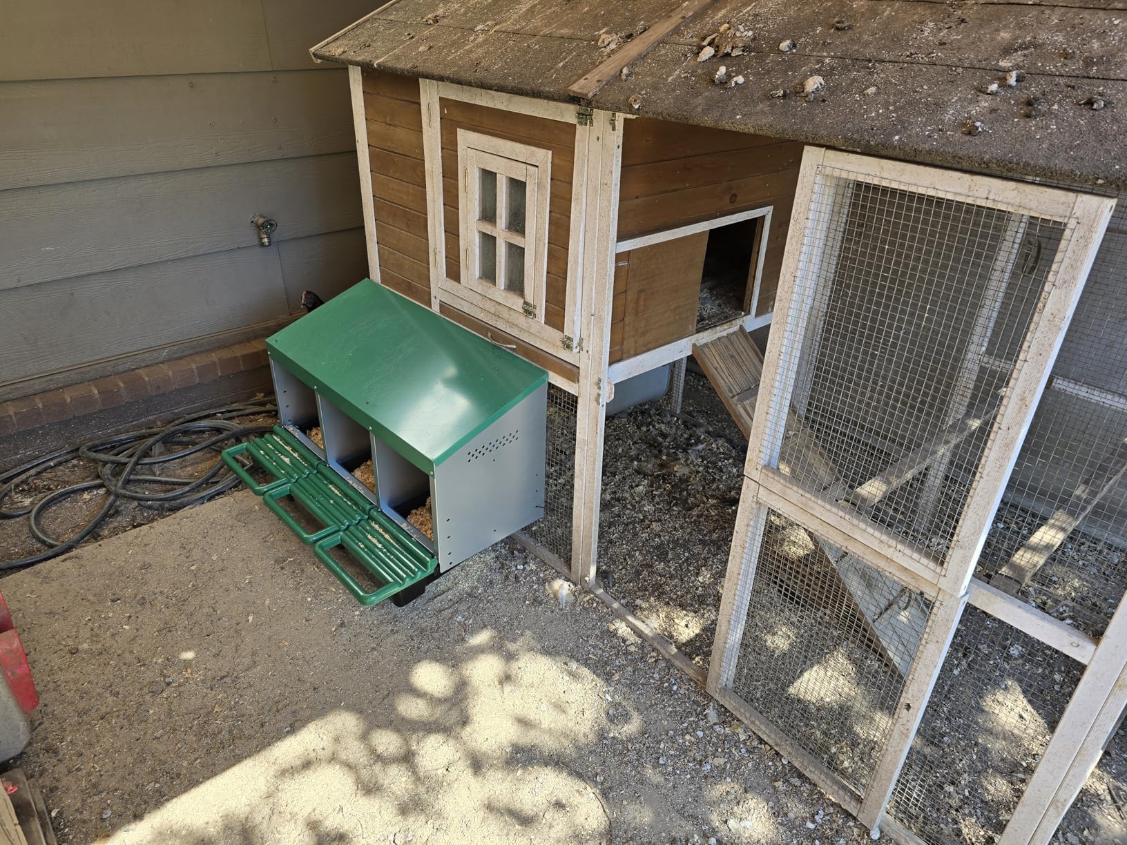 Homestead Essentials Classic Style 3 Compartment, Forward Rollout & Rollaway, Hen & Chicken Nesting Box with Integrated Perch and Protective Egg Laying Collection Lids customer photo 2