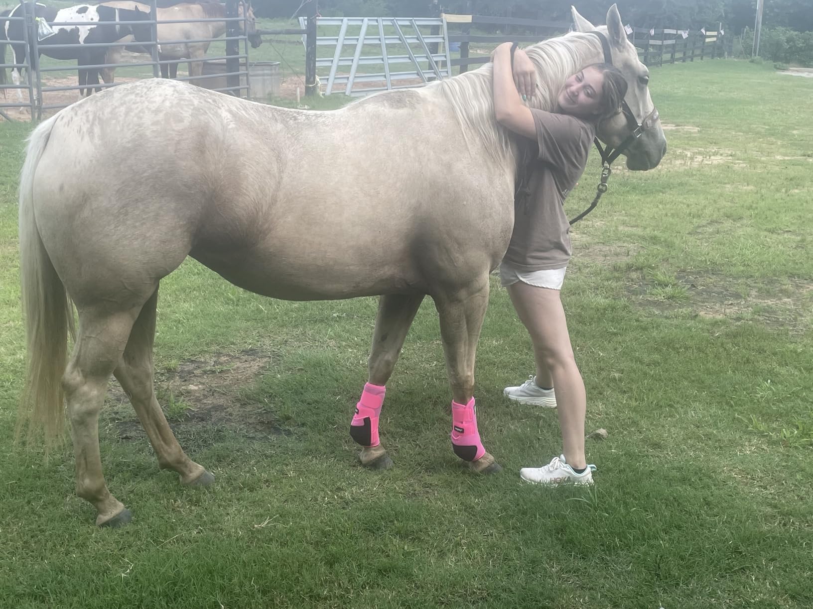 Classic Equine Legacy2 Support Boots, Front (Aqua, Medium) customer photo 2