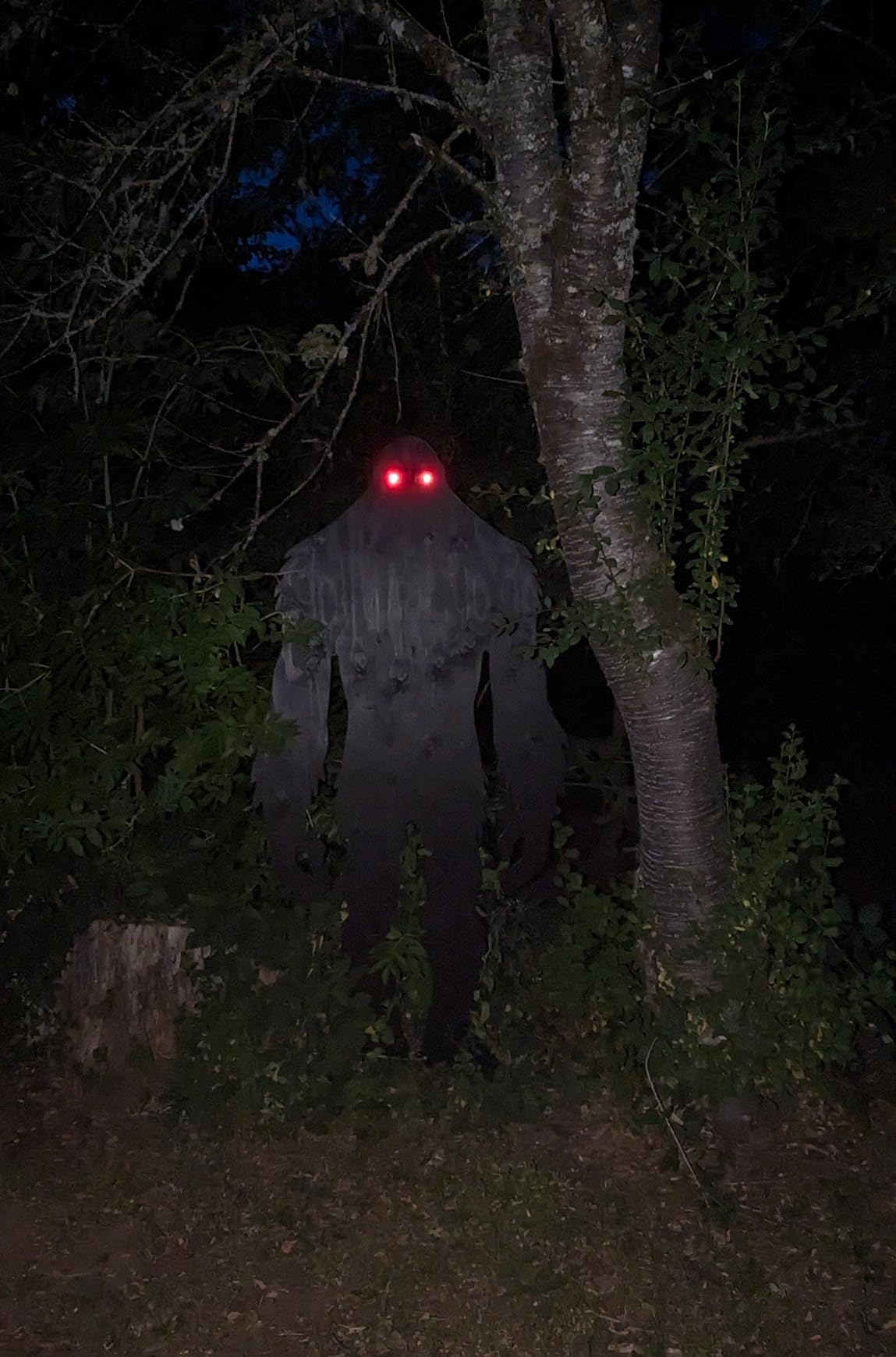 Triumpeek Animal Repeller, Solar Powered Predator Eye Nighttime Animal Deterrent Devices with Red LED Lights, Night Guard Animal Repellent Scares Coyote Skunk Raccoon Deer Away from Yard Chicken Coop customer photo 1
