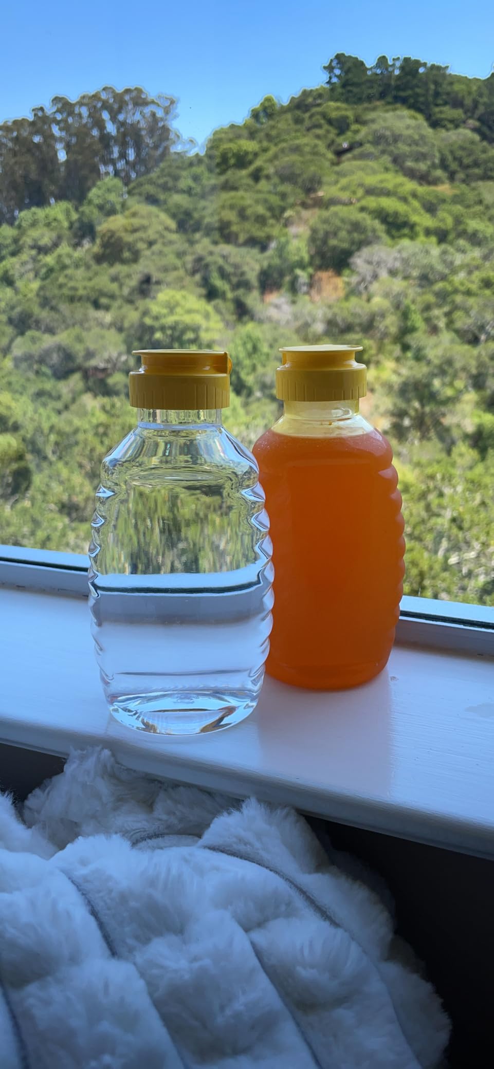 Qinsihwn 8 Pack 16oz Clear Plastic Honey Bottles, Refillable Food Grade Honey Container, Squeeze Honey Bottle With Leak Proof Flip-Top Caps customer photo 2