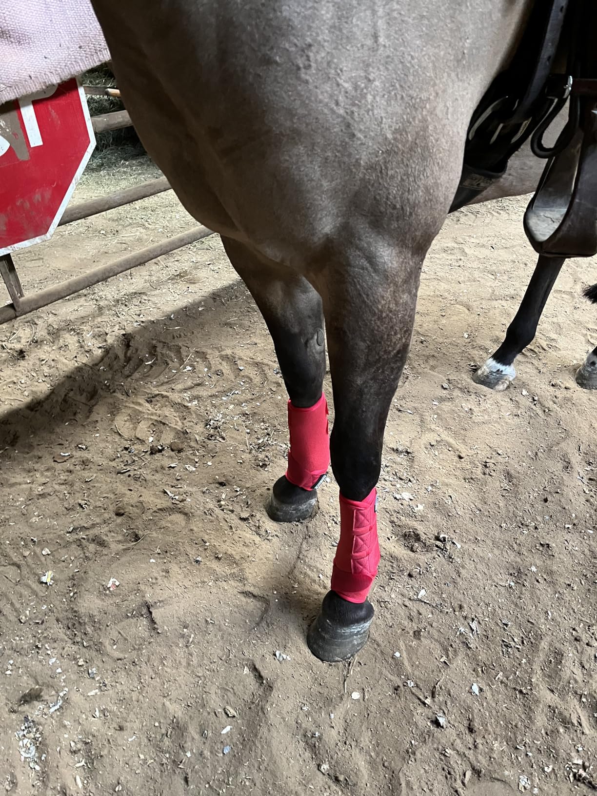 Harrison Howard Horse Sport Medicine Front Shock-Absorbing Boots for Endurance Training customer photo 1