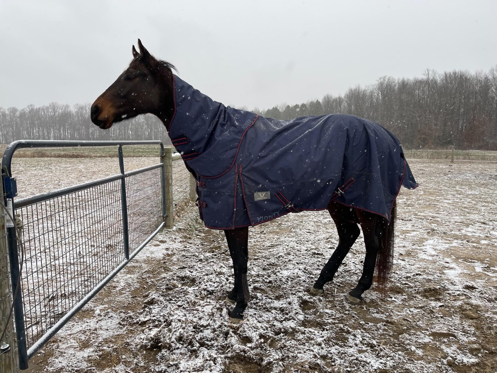 TuffRider 1200D Comfy Winter Medium Weight Ripstop Turnout Blanket w/Detachable Neck - 200 GSM customer photo 1