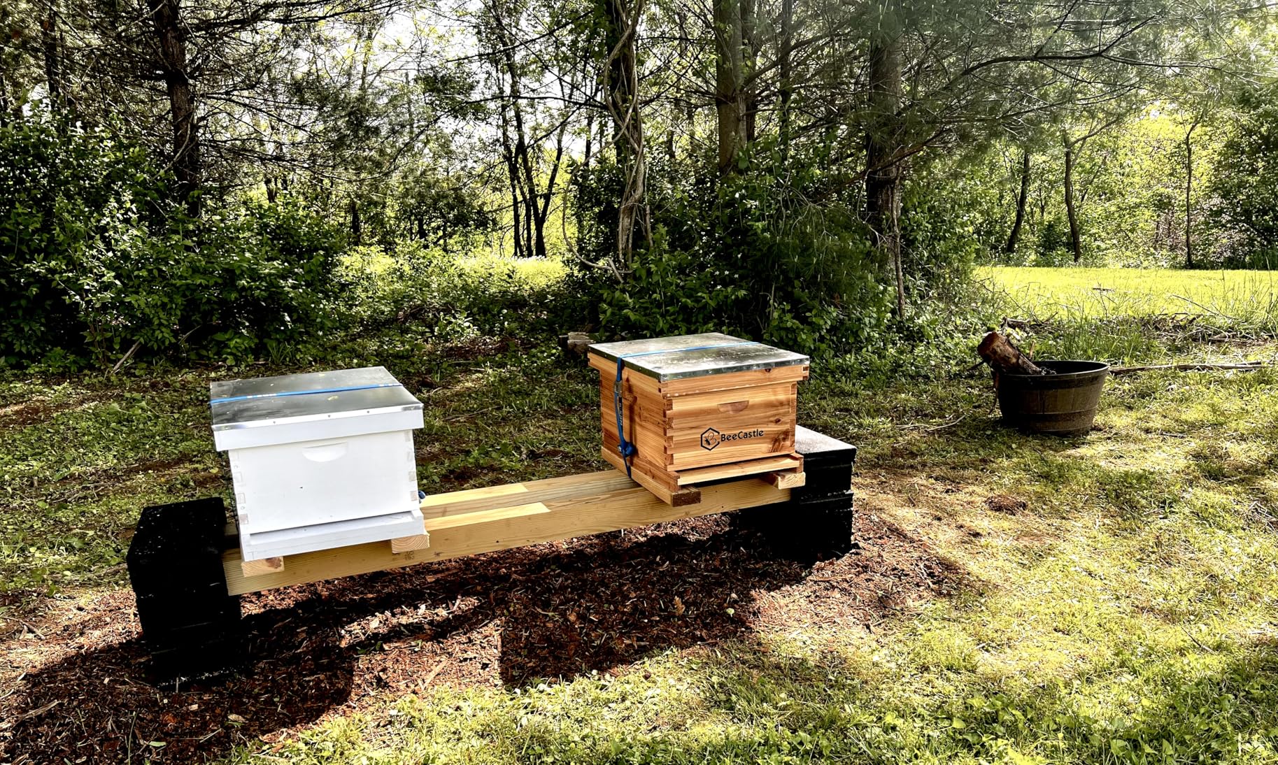 BeeCastle 10-Frame Bee Hives and Supplies Starter Kit, Beehive Kit Dipped in 100% Beeswax, Beginners Kit Includes Beekeeping Supplies Tool Set and Bee Suit customer photo 1