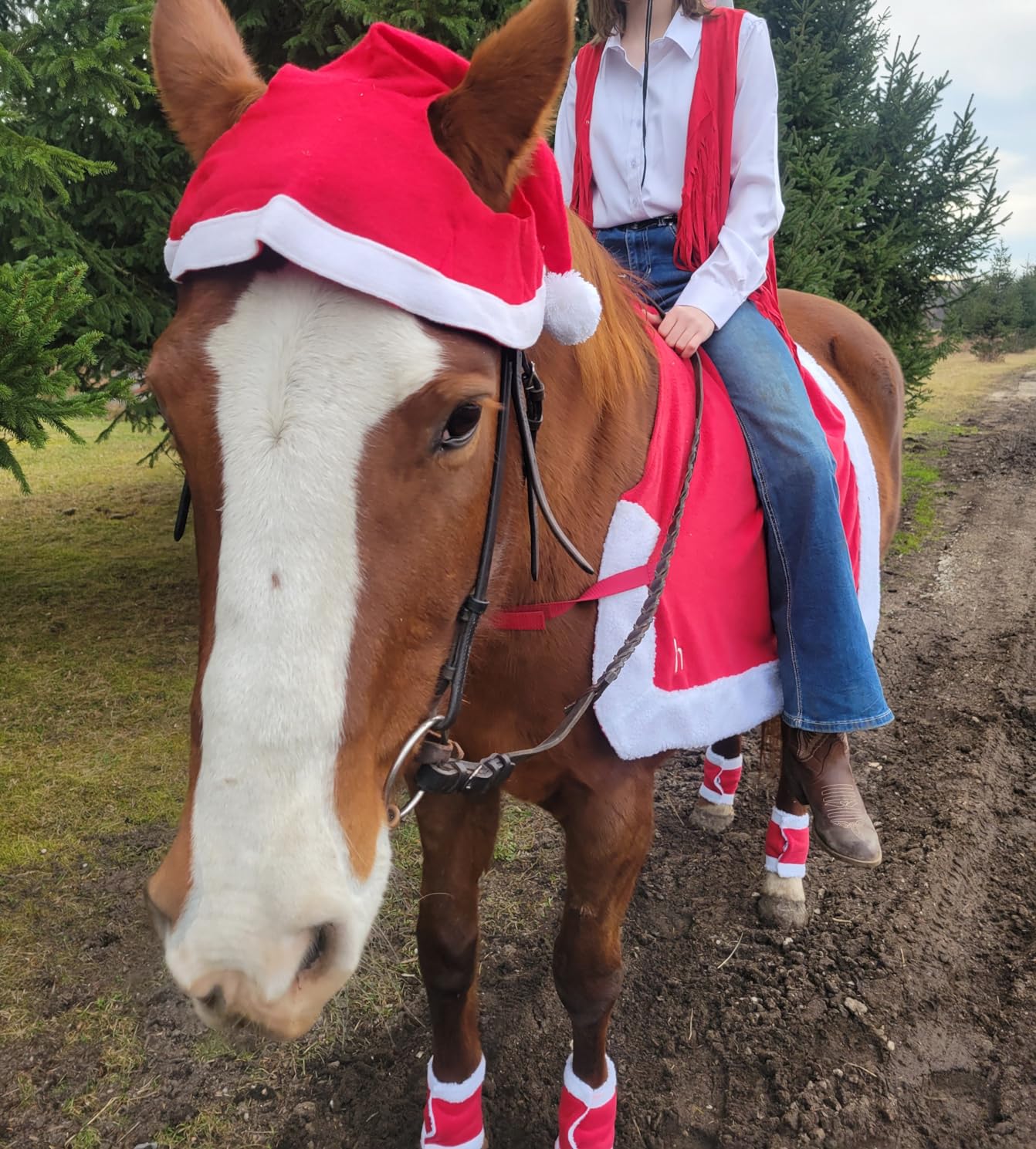 Horze Santa Christmas Fleece Horse Quarter Sheet Riding Blanket with Faux Fur - Red - Horse customer photo 1