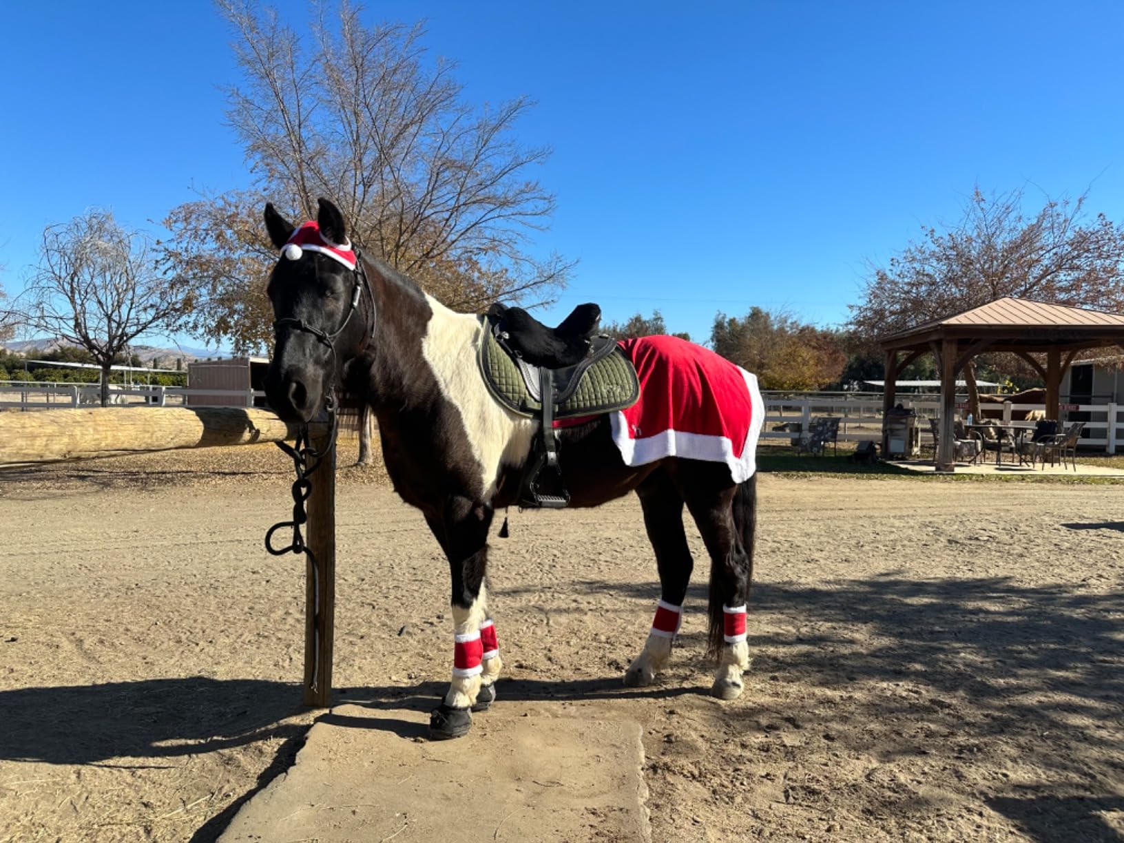 Horze Santa Christmas Fleece Horse Quarter Sheet Riding Blanket with Faux Fur - Red - Horse customer photo 2