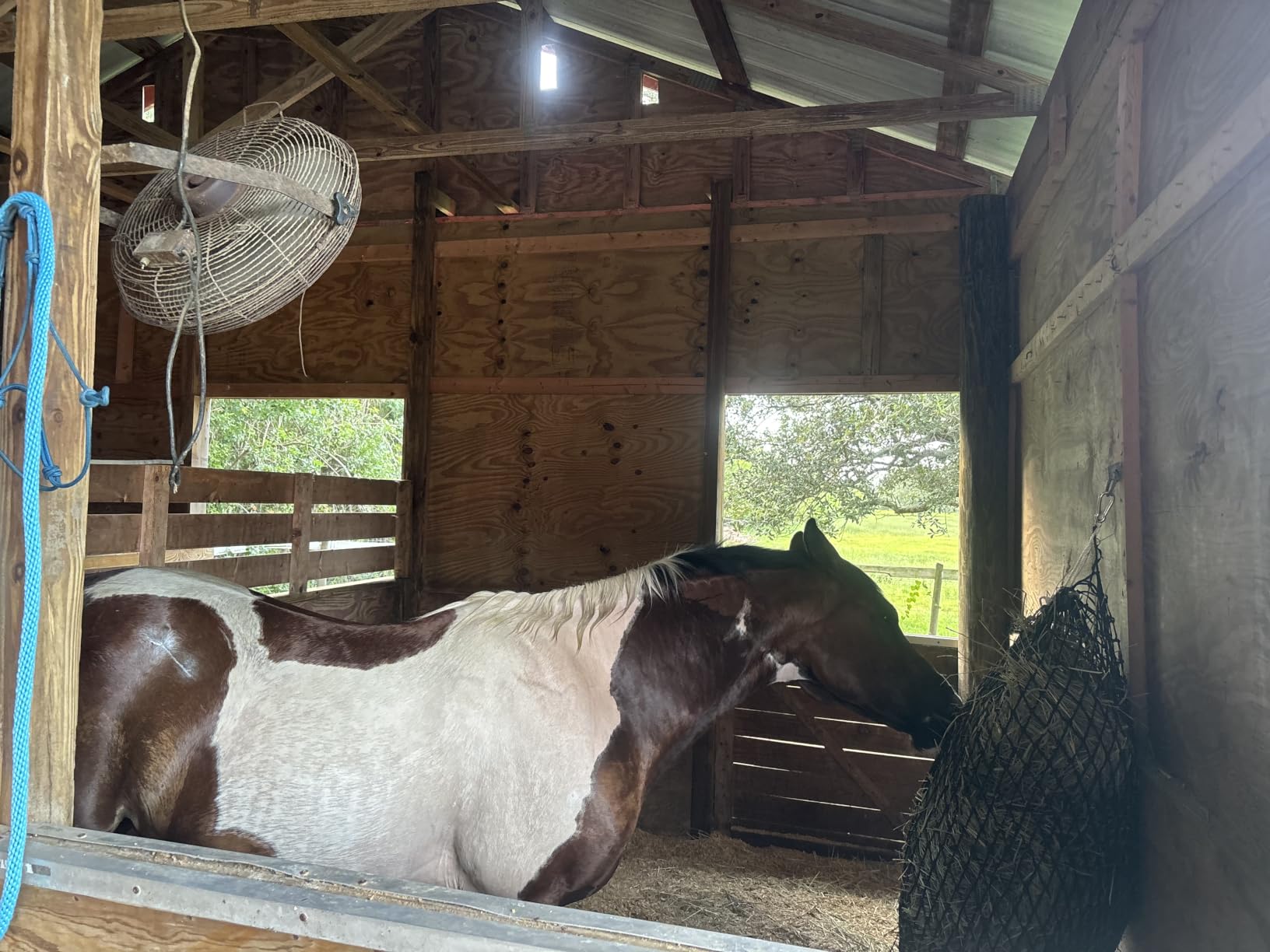 Bloomoak Slow Hay Net Feeder for Horses, Durable Soft Black PE 2/3 String Hay Bales Bags, Fit 36x18x18 to 47x25x17 Inches, Extends 50-64 Inches (2 1.6