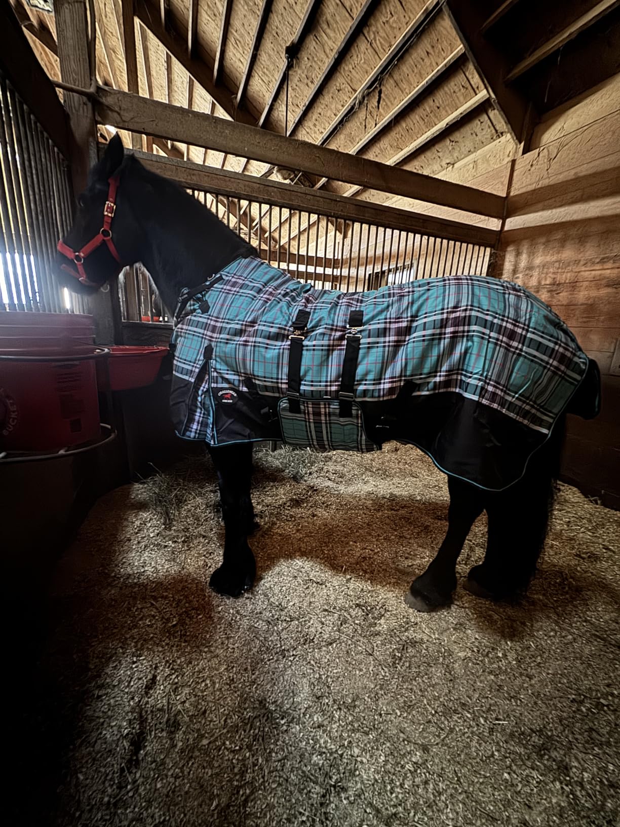 Challenger 1200D Horse Turnout Waterproof Heavy Weight Winter Blanket 598B customer photo 1