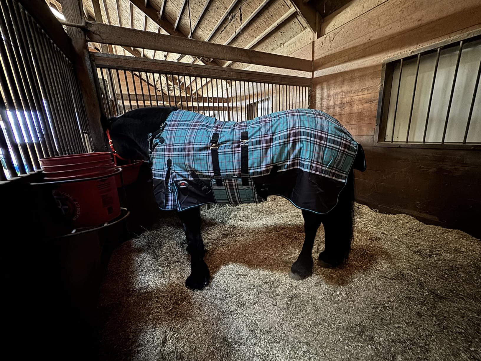 Challenger 1200D Horse Turnout Waterproof Heavy Weight Winter Blanket 598B customer photo 2