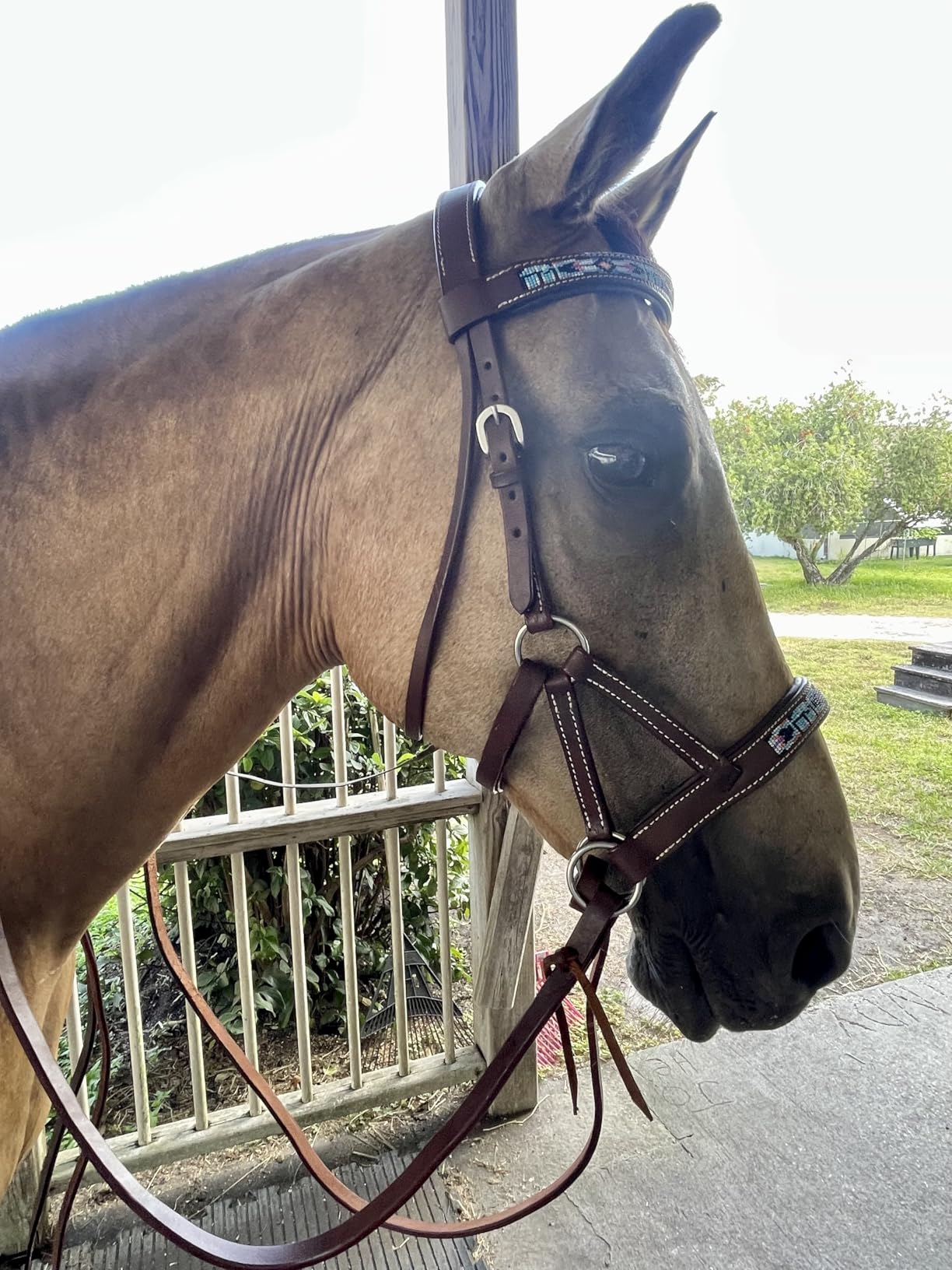 CHALLENGER Horse Western Black Leather Beaded Bitless Padded Sidepull Bridle with Reins customer photo 1