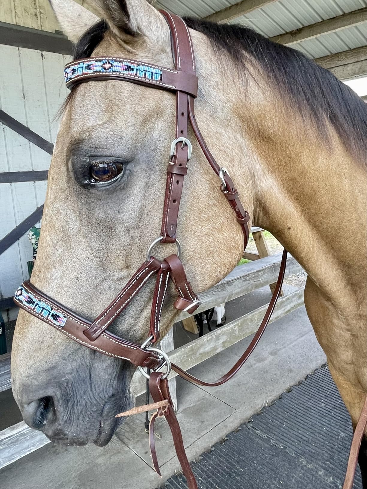 CHALLENGER Horse Western Black Leather Beaded Bitless Padded Sidepull Bridle with Reins customer photo 2