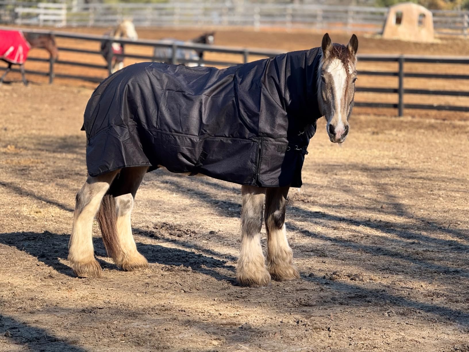 HORZE Nevada 1200D Lightweight Waterproof Horse Turnout Rain Sheet (No Fill) customer photo 1