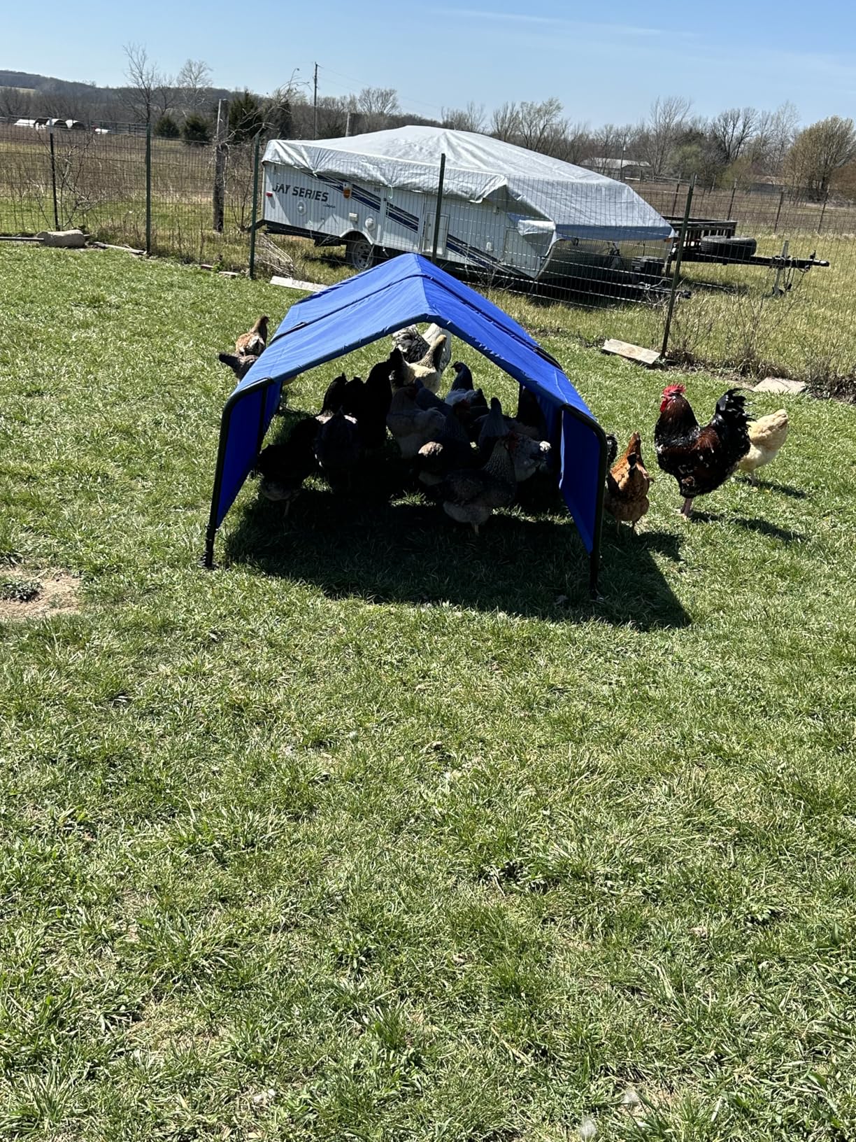 ShelterLogic 4' Outdoor Pet Shade, Versatile Pet Canopy Tent for Dogs, Cats, Small Animals and Livestock, Blue customer photo 1