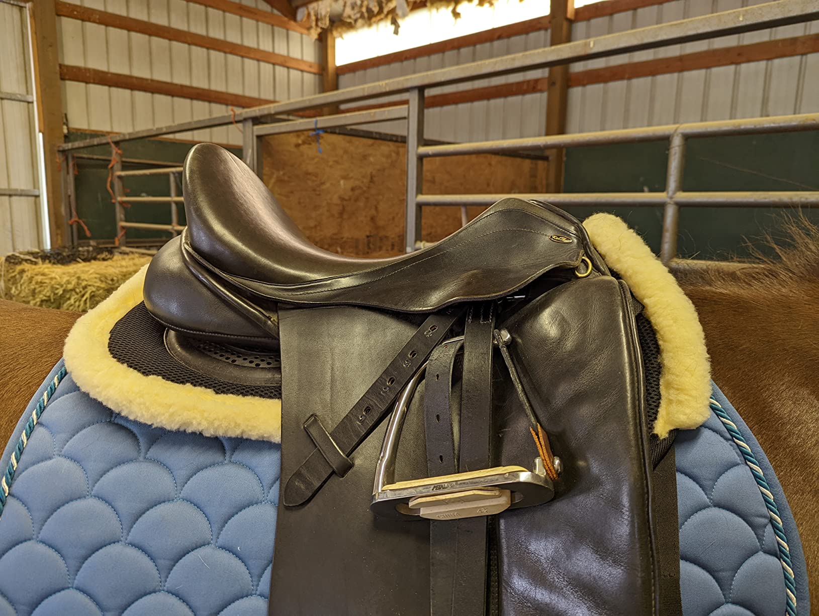 Kavallerie 3D Air-Mesh Half Pad, Impact Protection & Therapeutic Gel Padding English Saddle for Maximum Support and Stability, Best for Horses Under Saddle, Dressage, Jumping & Training customer photo 1