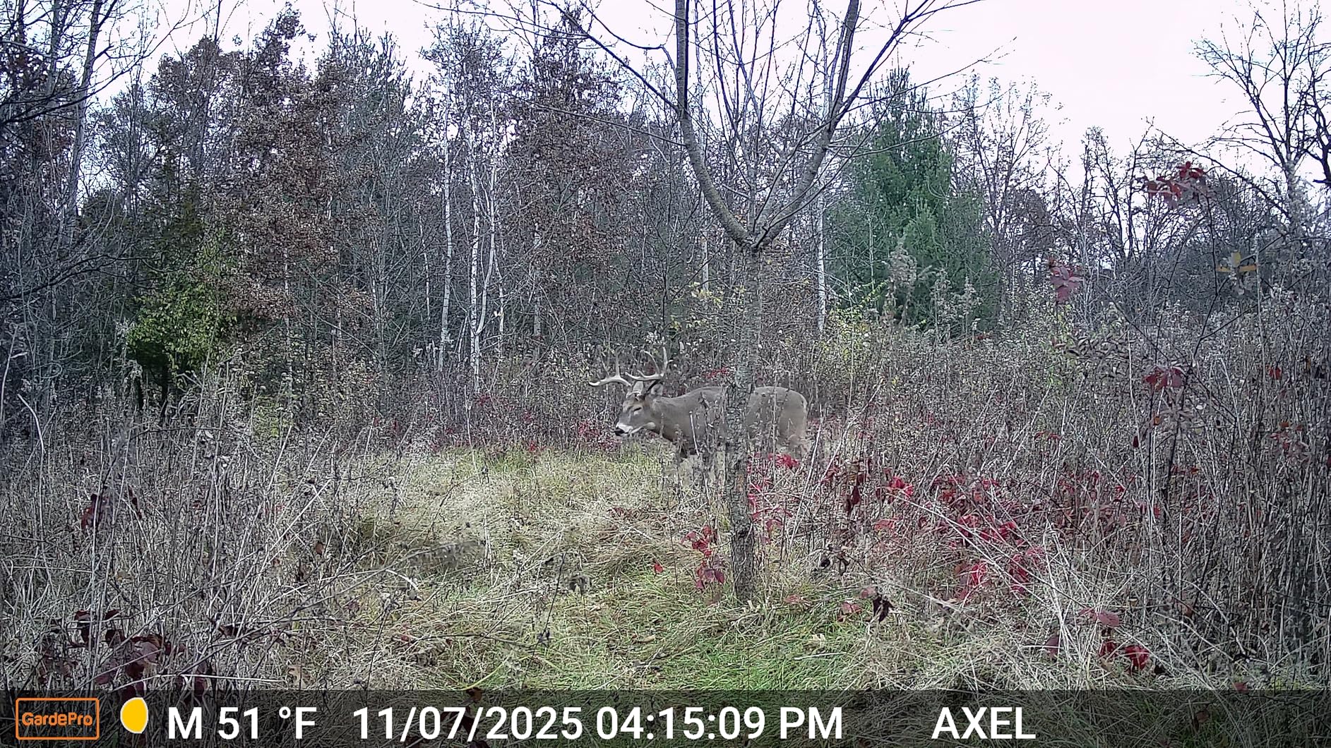 GardePro E5S Trail Camera, 64MP Photo & 1296P HD Video customer photo 1