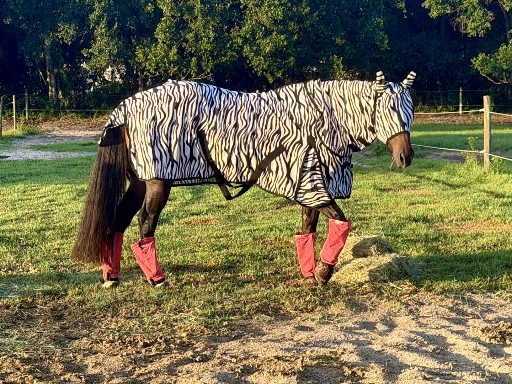 Combo Neck Fly Sheet with Leg Straps and Matching Mask customer photo 1