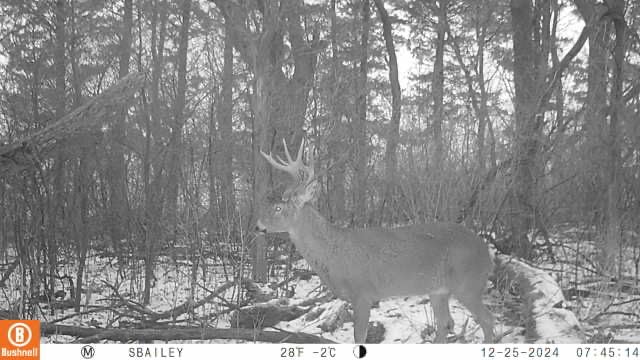 Bushnell CelluCORE 20 Solar Trail Camera, Dual Sim Low Glow Hunting Game Camera with Detachable Solar Panel Works with OnX Hunt customer photo 2
