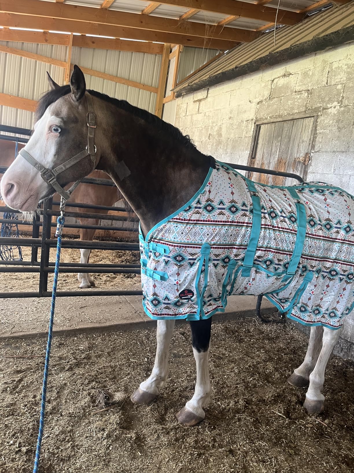 HILASON Horse Fly Sheet UV Protect Breathable Mesh Bug Mosquito Spring | Summer Horse Rug | Fly Rug customer photo 1