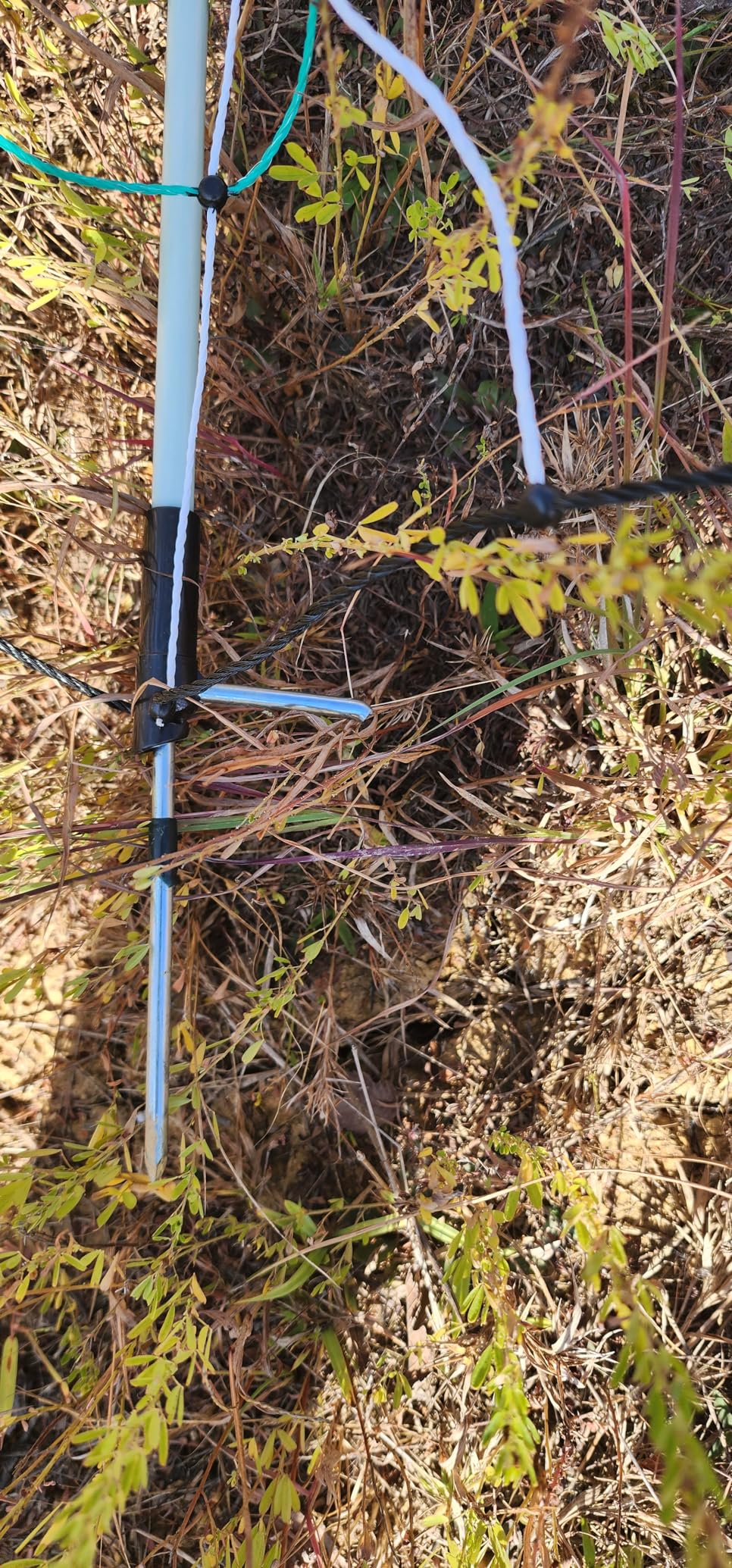 RentACoop Electric Goat Fence Netting, 42