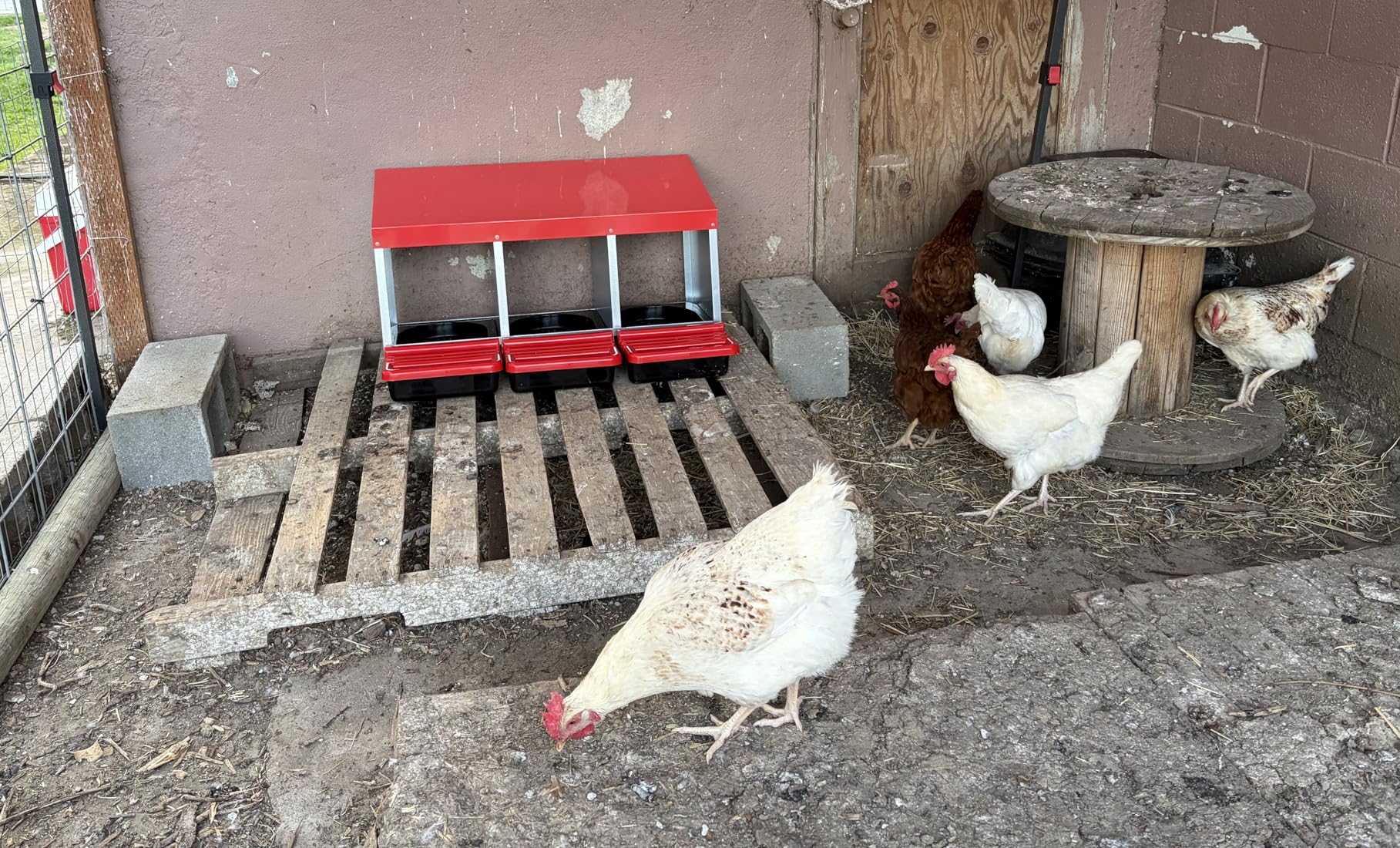 ZenxyHoC Chicken Nesting Boxes, Metal Chicken Egg Laying Box with Swing Perch and Rollout Egg Collection for Chicken Coop Red 3 Compartments customer photo 1