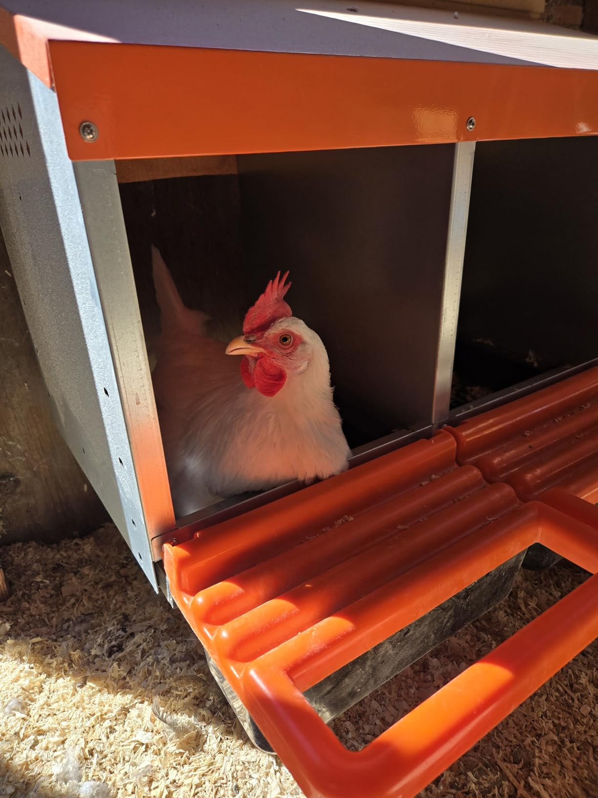 ZenxyHoC Chicken Nesting Boxes, Metal Chicken Egg Laying Box with Swing Perch and Rollout Egg Collection for Chicken Coop Red 3 Compartments customer photo 2