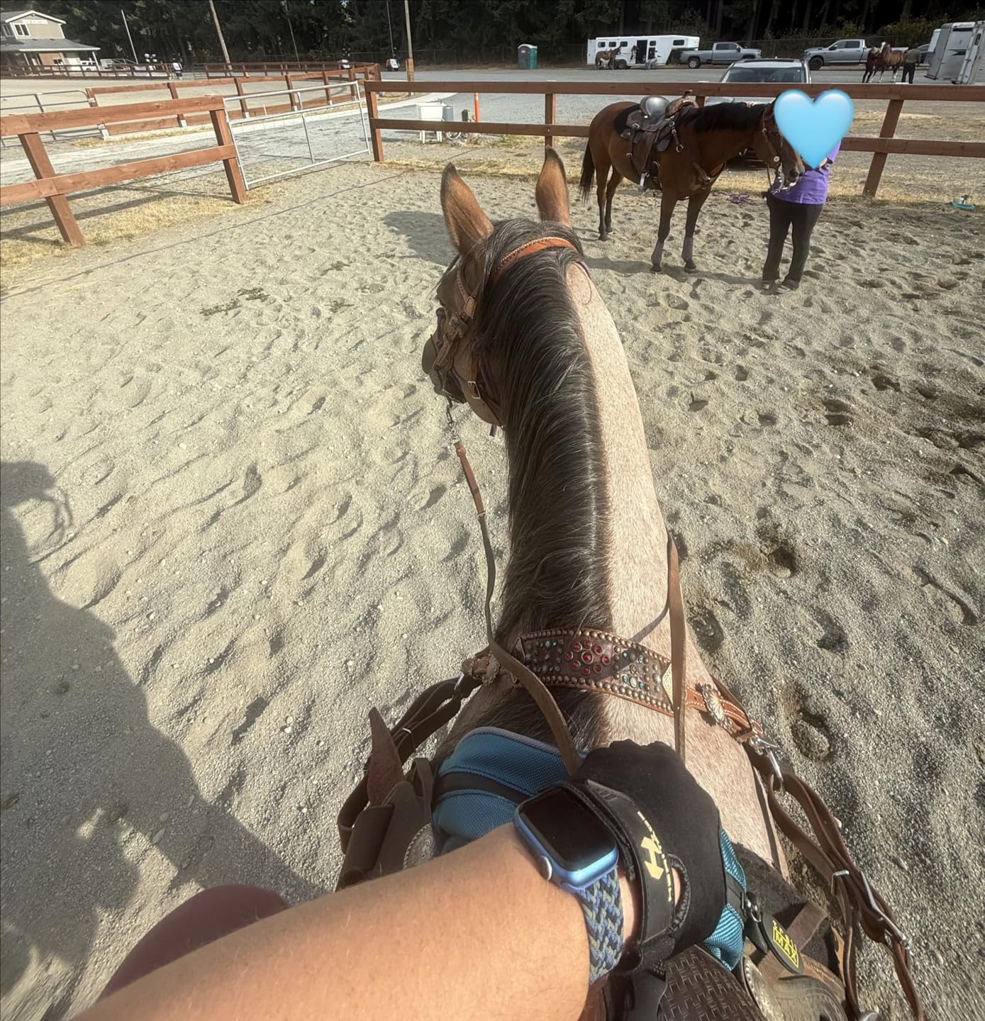 TrailMax 500 Series Pommel Pocket Saddle Bag for Horse Trail Riding; Saddle Pommel Pocket Western & Endurance Saddles; Cellphone Horn Bag; Trail Riding Cellphone Pommel Pocket customer photo 1