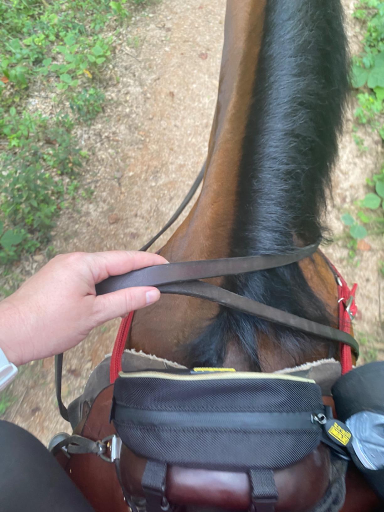 TrailMax 500 Series Pommel Pocket Saddle Bag for Horse Trail Riding; Saddle Pommel Pocket Western & Endurance Saddles; Cellphone Horn Bag; Trail Riding Cellphone Pommel Pocket customer photo 2