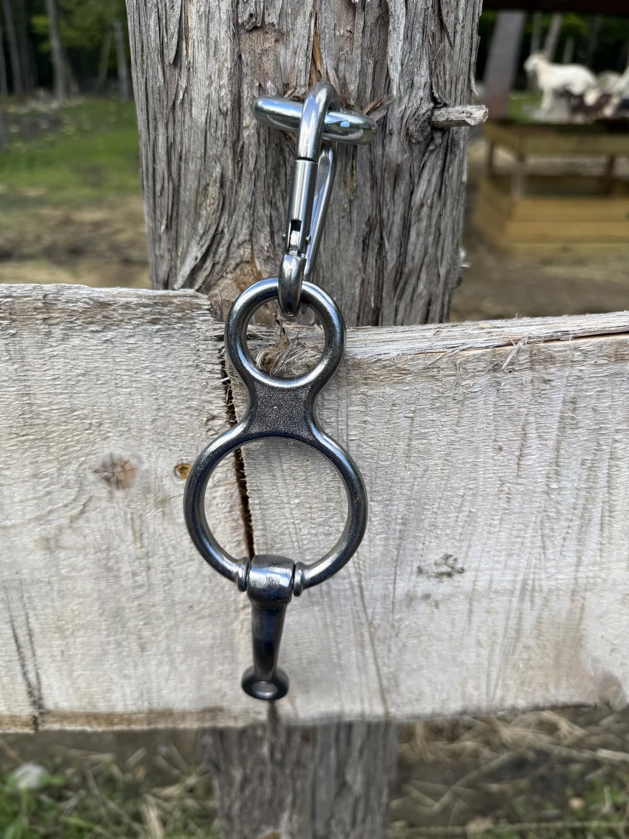 Debialo Horse Tie Ring, Horse tack and Supplies, Safe Horse Accessories,Horse Training Equipment with Eye Bolt,Quick snap,Humane Way Tie Ring,Prevent Horses from Pulling Back,Durable Steel customer photo 1